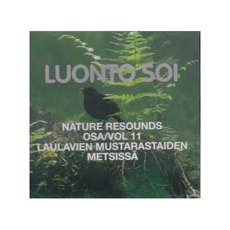 Luonto soi vol. 11 / Laulavien mustarastaiden metsissä / Finnish Nature Resounds / The Song of the Blackbirds through the woods