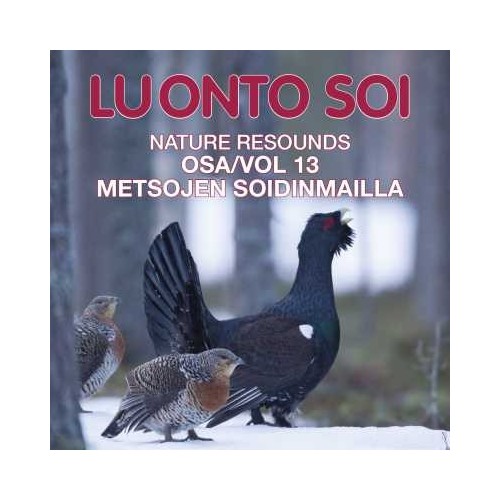Luonto soi vol. 13 / Metsojen soidinmailla / Finnish Nature Resounds / In the Courtship Arena of the Western Capercaillie