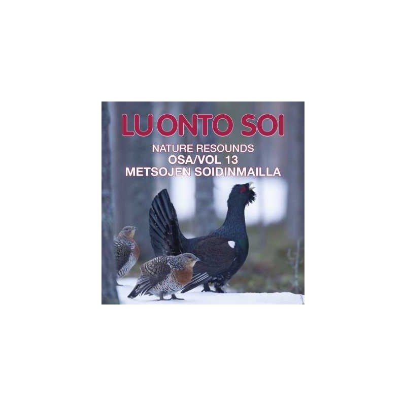 Luonto soi vol. 13 / Metsojen soidinmailla / Finnish Nature Resounds / In the Courtship Arena of the Western Capercaillie