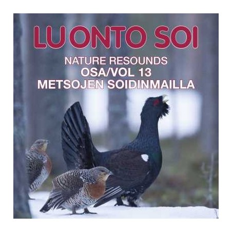 Luonto soi vol. 13 / Metsojen soidinmailla / Finnish Nature Resounds / In the Courtship Arena of the Western Capercaillie